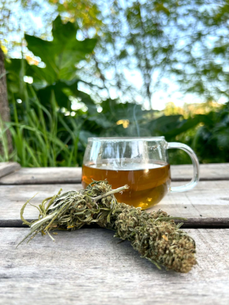 une tisane avec les bienfaits du CBD bio